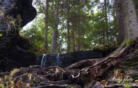 /album/fotogaleria/img-3892-masolata-jpg/